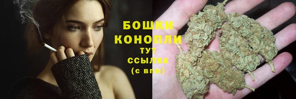 a pvp Белокуриха