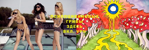 a pvp Белокуриха