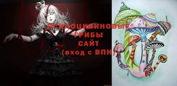 a pvp Белокуриха