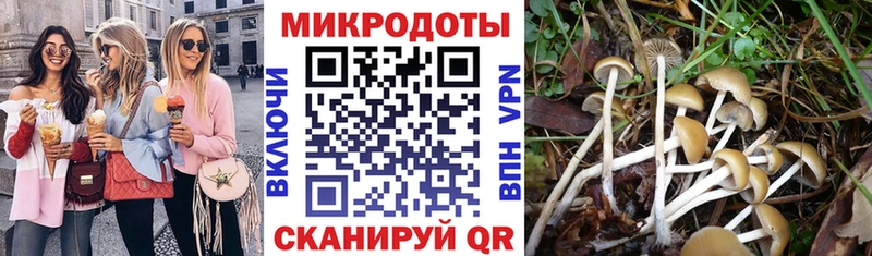 закладка  Севск  Галлюциногенные грибы ЛСД 